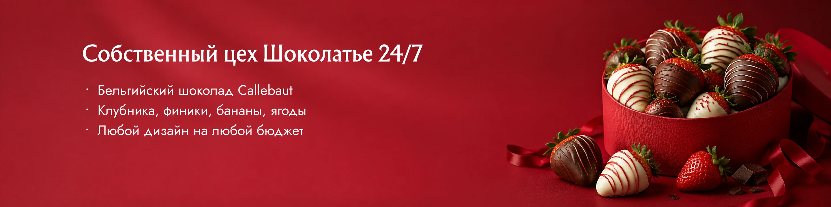 Banner 6